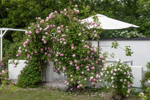 Vallby Cottage Enköping Zewnętrze zdjęcie