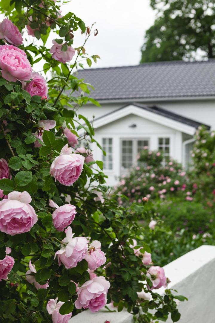 Vallby Cottage Enköping Zewnętrze zdjęcie